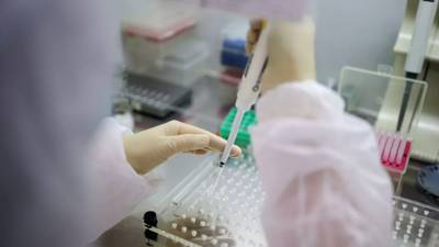 В Узбекистане число заболевших коронавирусом увеличилось до 76 315