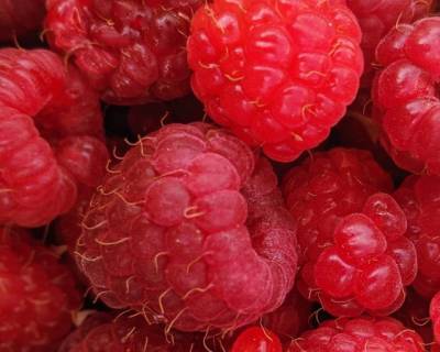 «Опасно»: диетолог рассказала, чем обрабатывают свежую ягоду зимой