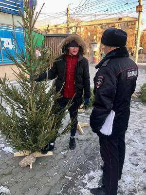 В Челябинске нашли два нелегальных елочных базара, деревья изъяли