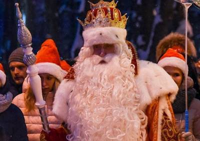 Рязанцев предупредили о мошенниках, собирающих деньги за бесплатное общение с Дедом Морозом