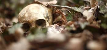 В Белозерском районе нашли останки пропавшего два месяца назад мужчины