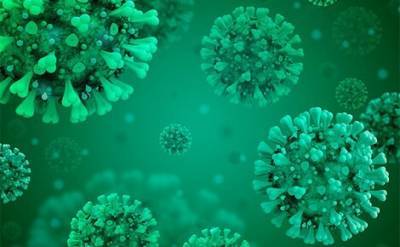 Новые мутации коронавируса обнаружили в Бразилии и Дании