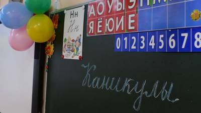 Аксенов объявил о досрочных новогодних каникулах в школах Крыма