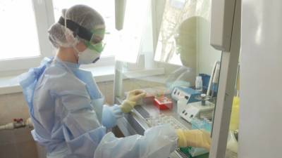 Более 35 тысяч петербуржцев сдали тесты на COVID-19 за сутки