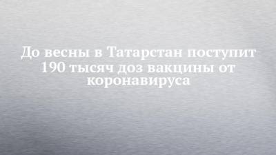 До весны в Татарстан поступит 190 тысяч доз вакцины от коронавируса