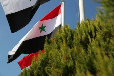 Урегулирование статуса экс-боевиков в Сирии проходит при поддержке ЦПВС - newinform.com - Сирия