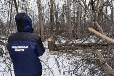 В Ярославской области лесорубапридавило деревом