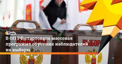 В ОП РФ стартовала массовая программа обучения наблюдателей на выборы