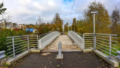 В Петербурге впервые появился мост из композитных материалов