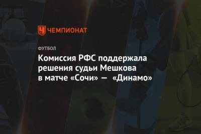 Комиссия РФС поддержала решения судьи Мешкова в матче «Сочи» — «Динамо»