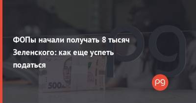 ФОПы начали получать 8 тысяч Зеленского: как еще успеть податься