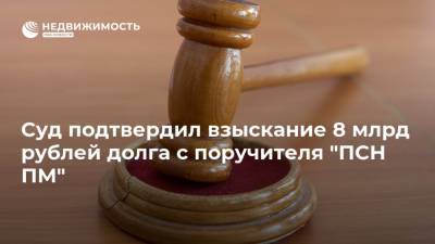 Суд подтвердил взыскание 8 млрд рублей долга с поручителя "ПСН ПМ"