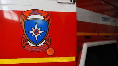 Два человека пострадали после жесткой посадки вертолета под Воронежем