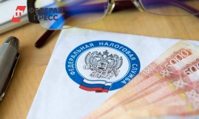 В Новосибирской области свыше миллиона рублей налогов задолжал 31 житель