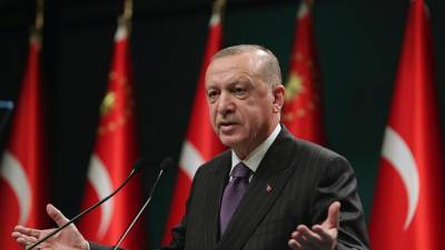 Эрдоган в 2020 году: от Айи-Софии до психического здоровья Макрона