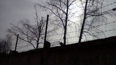 В Башкирии арестовали злостного неплательщика алиментов
