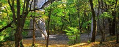 На Ставрополье пообещали сохранить Мамайский лес