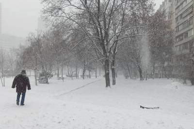 Киев замело снегом: часть города парализована из-за непогоды (фото, видео)