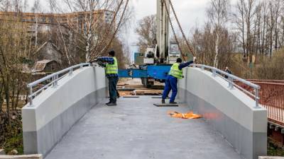 Суперпрочный композитный мост появился в Петербурге