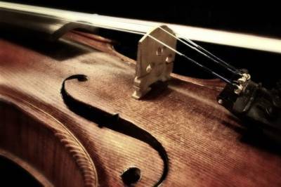 Болгарин пытался незаконно вывезти с Украины 333-летнюю скрипку Страдивари