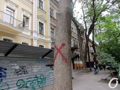 Шумахеру мешают деревья в Одессе