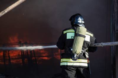В Курганской области сгорел еще один дом: погибли мать и сын
