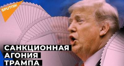 Санкционная агония Трампа: как отреагировала Россия