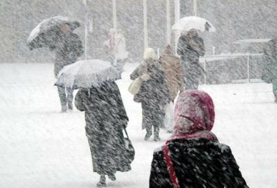 Снегопад стал причиной семибалльных пробок в Петербурге