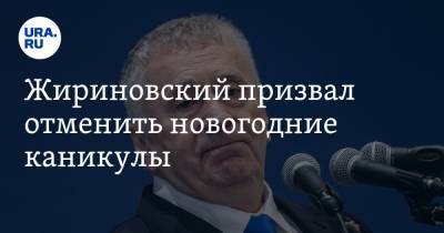 Жириновский призвал отменить новогодние каникулы. «Мы дольше всех отдыхаем, люди с ума сходят»