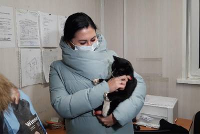 Ульяновский «кот в мешке» нашёл новый дом