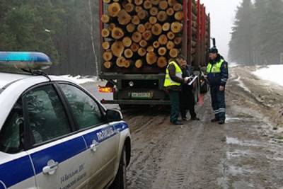 Костромская полиция проводит операцию «Лес»