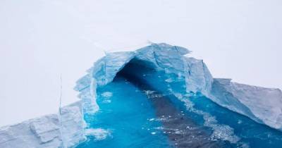 Один из крупнейших айсбергов планеты раскололся: почему это может стать проблемой