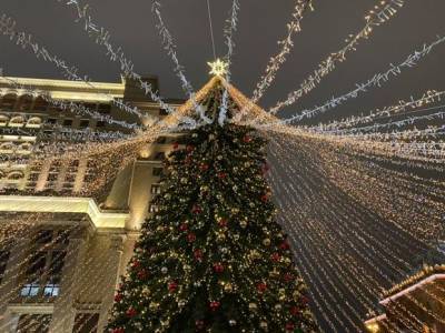 Попова дала советы по «ковидному» празднованию Нового года