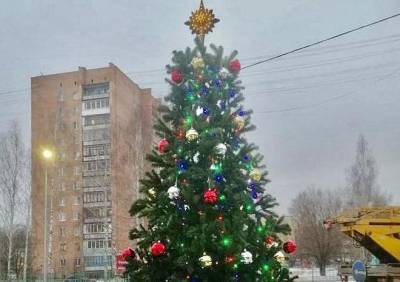 В Комсомольском парке установили новогоднюю пятиметровую ель