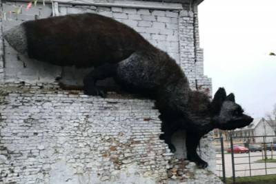 Жители Риги возмутились скульптурой лисицы в центре города