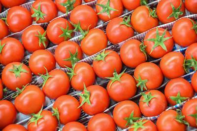 Россельхознадзор разрешил ввозить томаты с 12 азербайджанских предприятий
