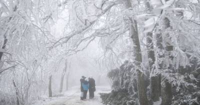 Снега не будет: синоптики рассказали, какой ожидается погода на Новый год