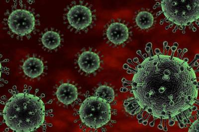 Биолог назвала причины мутации коронавируса