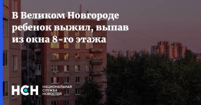 В Великом Новгороде ребенок выжил, выпав из окна 8-го этажа
