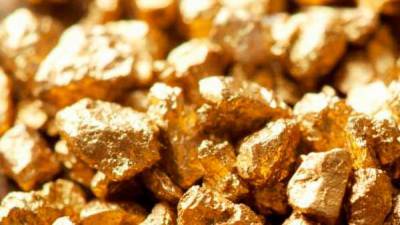 Первый участок для добычи золота покупает неизвестная фирма гражданина Турции