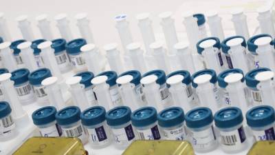 ВОЗ: существующие тесты на коронавирус способны обнаружить новые штаммы