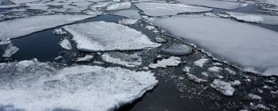 Раскрыта тайна подледного антарктического озера Восток