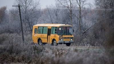 Детей разрешат перевозить в «старых» автобусах. Насколько это безопасно?