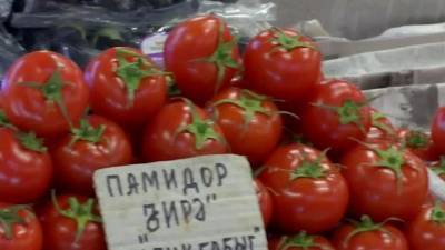 Россельхознадзор снял временные ограничения на поставки в Россию томатов еще с 12 азербайджанских предприятий