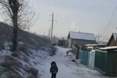 В Улан-Удэ хозяин собаки, покусавшей 11-классницу, не оказал девочке помощь