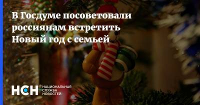 В Госдуме посоветовали россиянам встретить Новый год с семьей