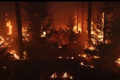 Вышел фильм с кадрами лесных пожаров в Красноярском крае