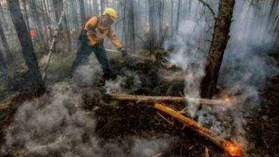 Создатели драмы "Огонь" использовали реальные кадры лесных пожаров в Сибири