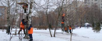 В Рязани Комсомольский парк украсили праздничной иллюминацией