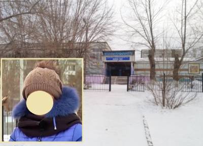 Отбила медсестра: в Красноярске бродячие собаки напали на девочку прямо во дворе школы